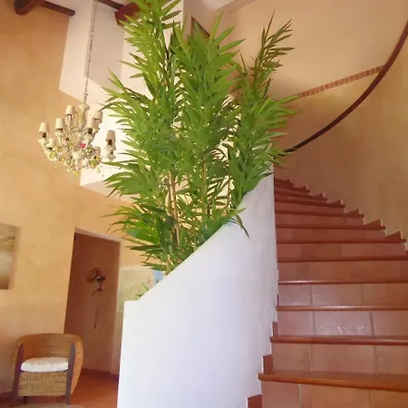 Guest house Mas Picton 4*